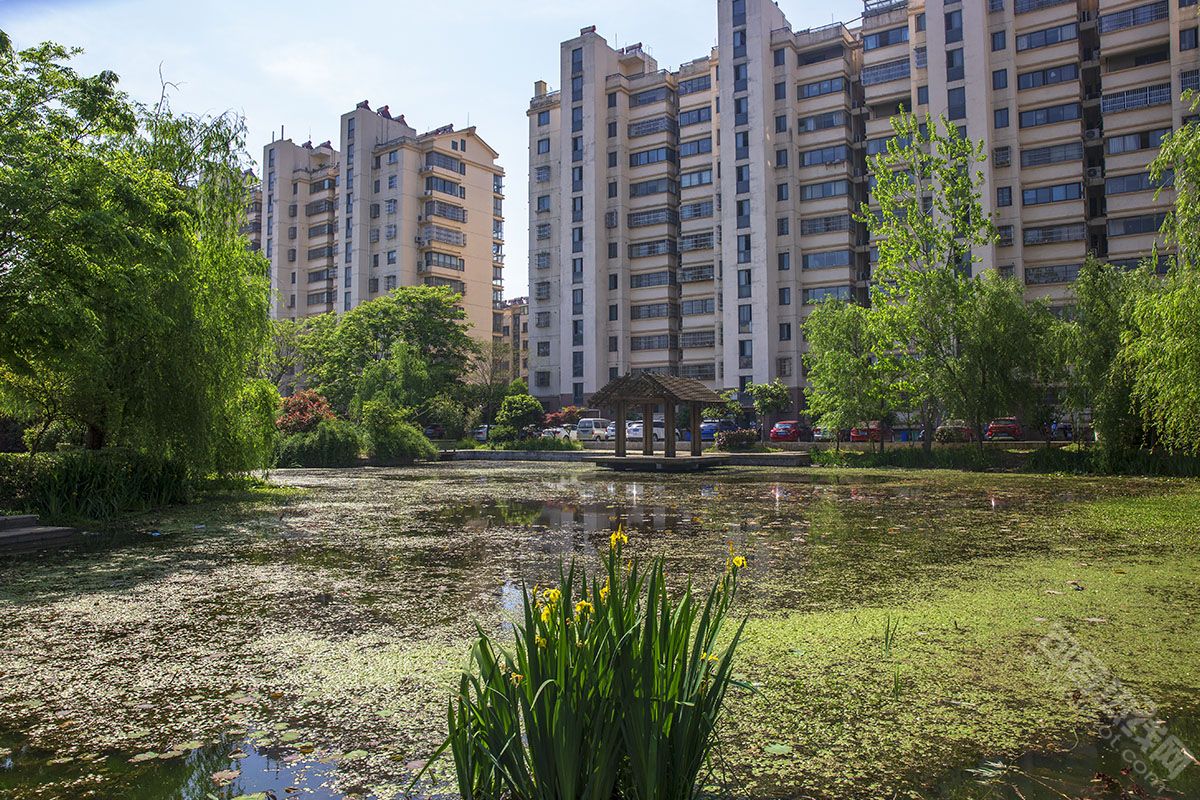 润景美邻苑应该更美