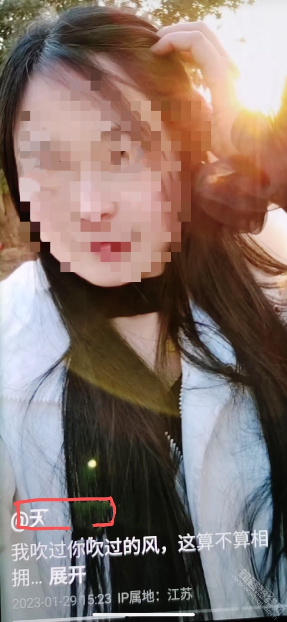 1738729101885337486.jpg