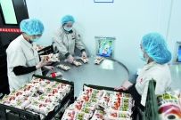 位于开发区的江苏桃李面包有限公司产销两旺
